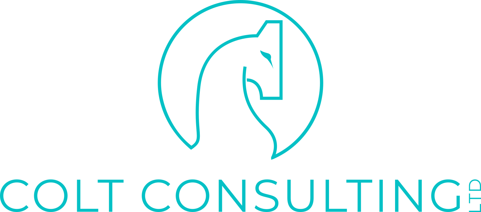 Colt Consulting Logo